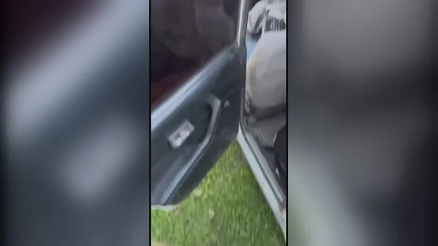 Die russische Kleinpfandleiherin wurde aus dem Auto gezogen, ihr Höschen wurde heruntergezogen....